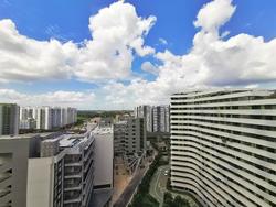 Blk 308B Punggol Walk (Punggol), HDB 3 Rooms #216710901
